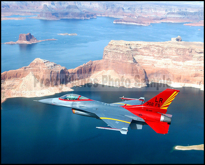 F-16-Falcon-302-FS-Tuskegee-Airmen-Colors-8x10.jpg